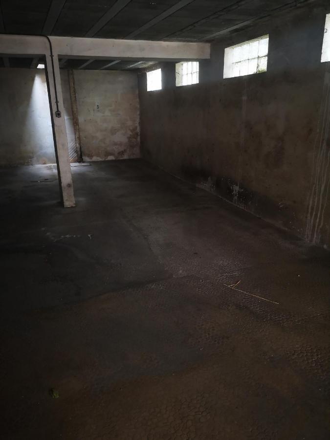 Appartamento Studio Jungle au Mourillon Tolone Esterno foto